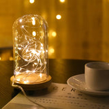 Guirlande lumineuse LED USB LumineoPro – 10/20/30 mètres