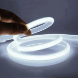 Bande lumineuse néon LED COB NeoGlow – 5M / 10M / 20M / 30M 110V–220V
