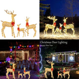 LumiGift Lot de 3 boîtes cadeaux lumineuses avec LED