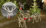 LumiRein LED Rentier Familie