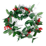 Guirlande de Noël LED LumiBerry 2M