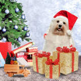 LumiGift Lot de 3 boîtes cadeaux lumineuses avec LED