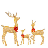 LumiGift Lot de 3 boîtes cadeaux lumineuses avec LED