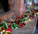 Guirlande de Noël LED LumiBerry 2M