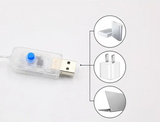 Luce natalizia Babbo Natale scala a pioli catena luminosa LED – 1M / 3M USB